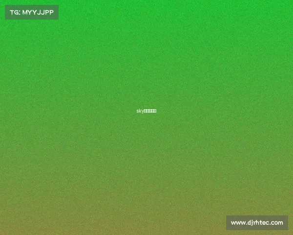 sky的电竞之路 sky的电竞之路