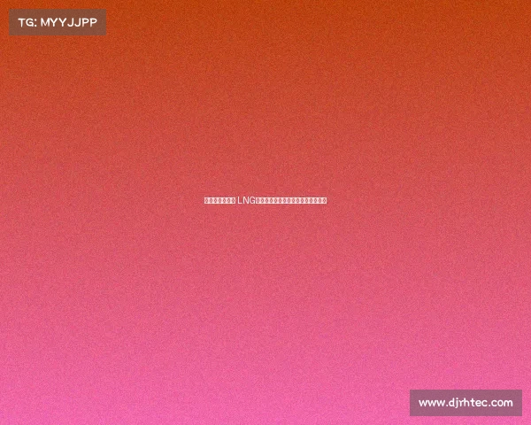 《全新阵容启航 LNG九号电动无畏契约战队冲击新赛季》